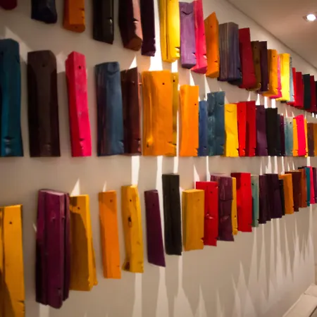 Carris Ribeira Porto